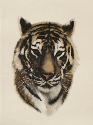Picture of ANTIQUE TIGER PORTRAIT I
