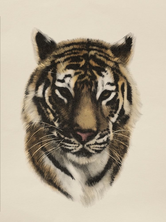 Picture of ANTIQUE TIGER PORTRAIT I