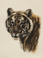 Picture of ANTIQUE TIGER PORTRAIT II