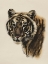 Picture of ANTIQUE TIGER PORTRAIT II