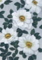 Picture of BRIGHT WHITE FLOWERS I