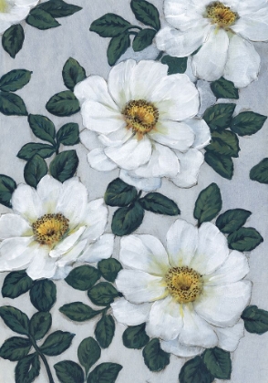Picture of BRIGHT WHITE FLOWERS I