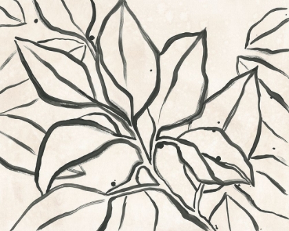 Picture of PARCHMENT BRUSH BRANCH I