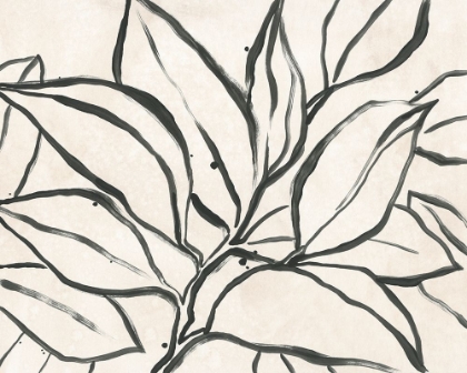 Picture of PARCHMENT BRUSH BRANCH II