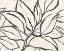 Picture of PARCHMENT BRUSH BRANCH II