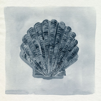 Picture of BLUE TREASURE II