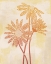 Picture of WOODBLOCK POSIES II