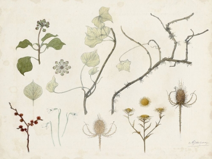 Picture of DE GRAAG NATURE STUDY I