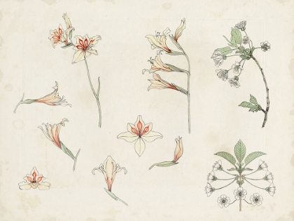 Picture of DE GRAAG NATURE STUDY III