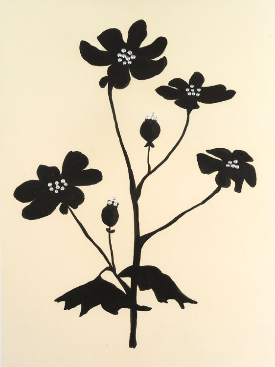 Picture of NEUTRAL PLUME POPPY II