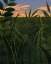 Picture of TROPICAL DUSK I