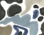 Picture of AMOEBA I