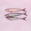 Picture of NEON SARDINES II