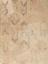Picture of DECONSTRUCTED PATTERNS V