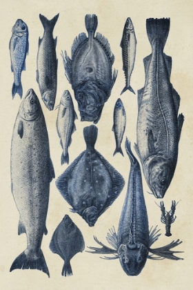 Picture of BLUE FISH CHART I