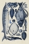 Picture of BLUE FISH CHART II