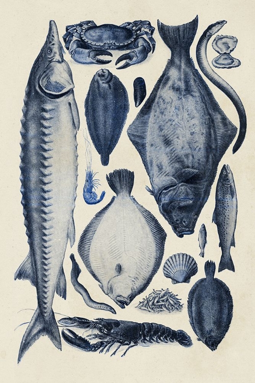 Picture of BLUE FISH CHART II