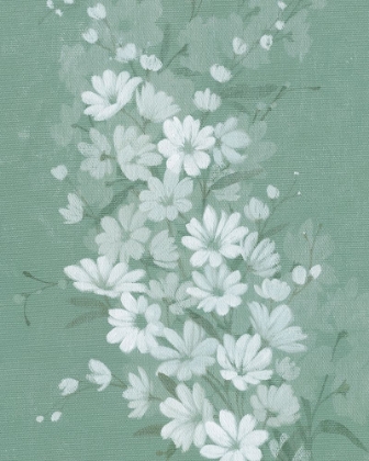 Picture of SAGE SHADOWS II