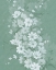 Picture of SAGE SHADOWS II