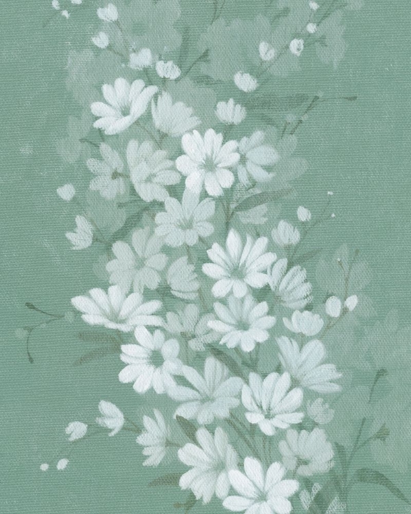 Picture of SAGE SHADOWS II