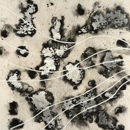 Picture of WHITE CONTOURS I