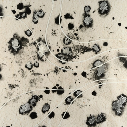 Picture of WHITE CONTOURS II