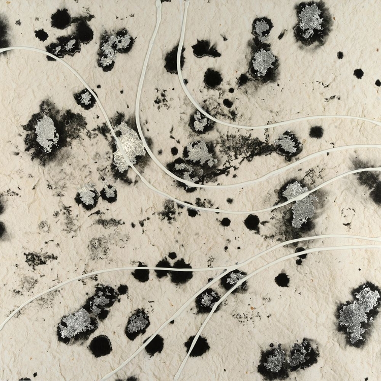 Picture of WHITE CONTOURS II