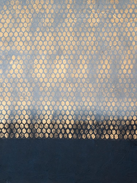 Picture of CLOAKED PYRITE I