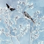 Picture of MINTED SERENITY I