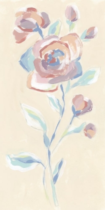 Picture of STEM FRESCO II