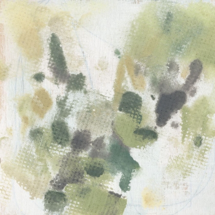 Picture of SOFT LICHEN II