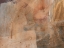 Picture of EARTHEN INSPIRED TEXTURES I