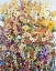 Picture of MIX VARIETY II