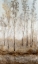Picture of WOODLAND SHIMMERING LIGHT II