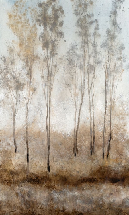 Picture of WOODLAND SHIMMERING LIGHT II