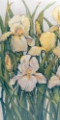 Picture of BLOOMING IRISES I