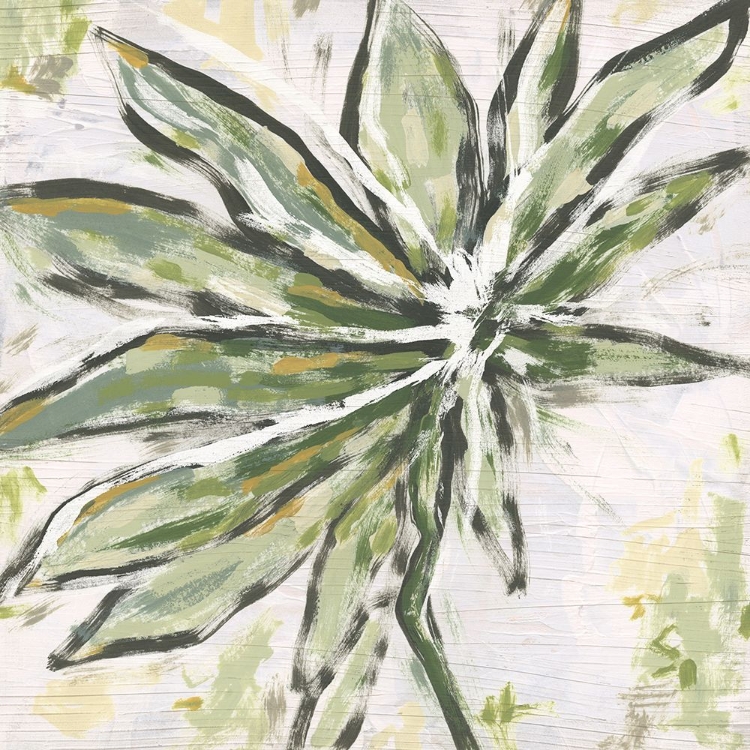 Picture of PALM LEAF PALETTE II