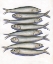 Picture of STACKED ANCHOVY I