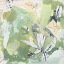 Picture of OLIVE ORCHID IV
