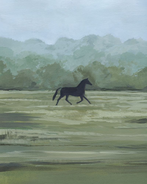 Picture of RIDER'S SHADOW I