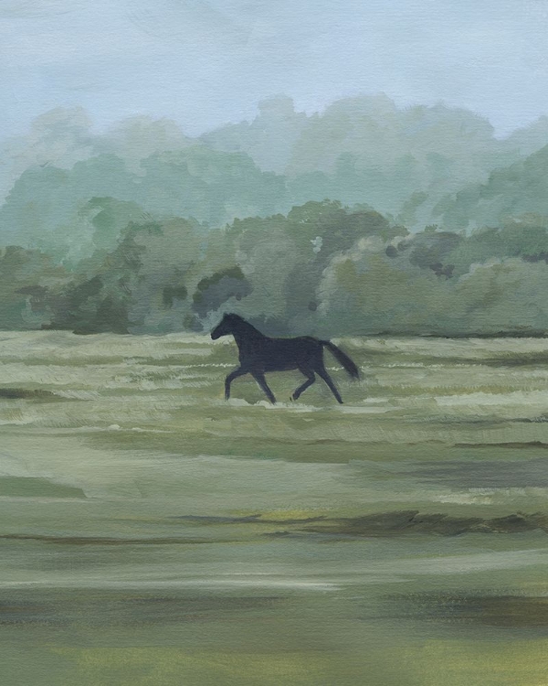 Picture of RIDER'S SHADOW II