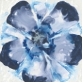 Picture of BLUE GLASS FLOWER II