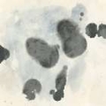 Picture of CARBON INKBLOT I