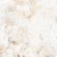 Picture of EXPRESSIVE WHITE OUT II