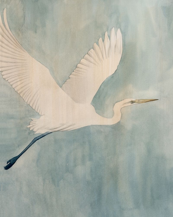 Picture of ISLAND SPECTER I