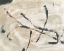 Picture of SCRIVENER II