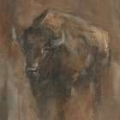 Picture of AMERICAN BUFFALO STUDY II