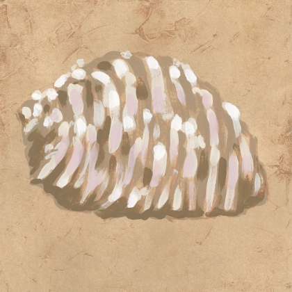 Picture of EARTHTONE SHELL III