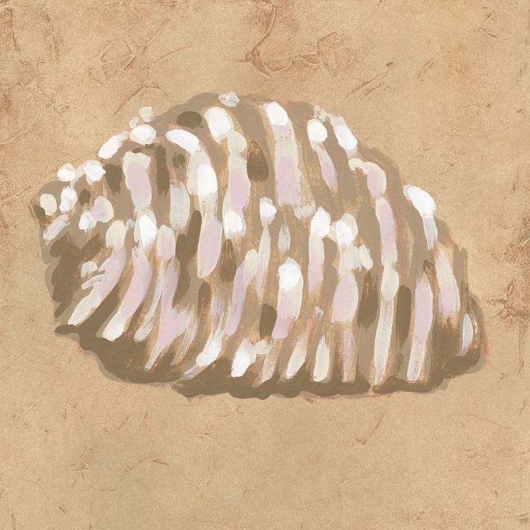 Picture of EARTHTONE SHELL III