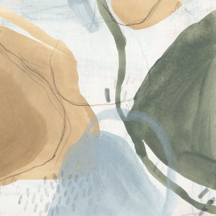 Picture of SHAPE GALLERY I